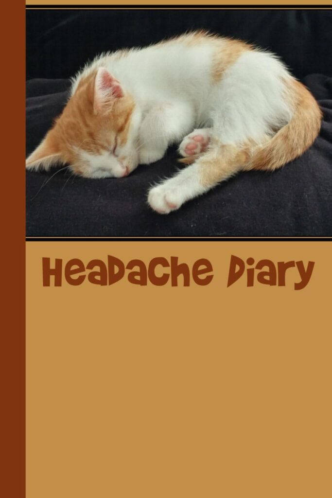 Headache Diary: Doctors Orders - Track Your Headaches for Appropriate Diagnosis and Treatment - 6 x 9 Bullet Notebook - cute kitten, orange tabby design     Paperback – August 30, 2019