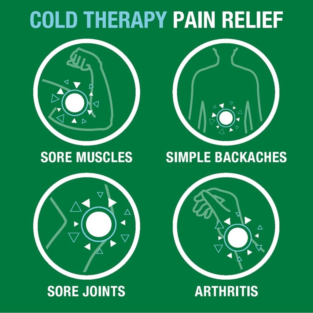 Biofreeze Pain Relief Spray, Arthritis Pain Reliever, Knee  Lower Back Pain Relief, Sore Muscle Relief, Neck Pain Relief, FSA Eligible, 2 Pack (4 FL OZ Biofreeze Menthol Spray)